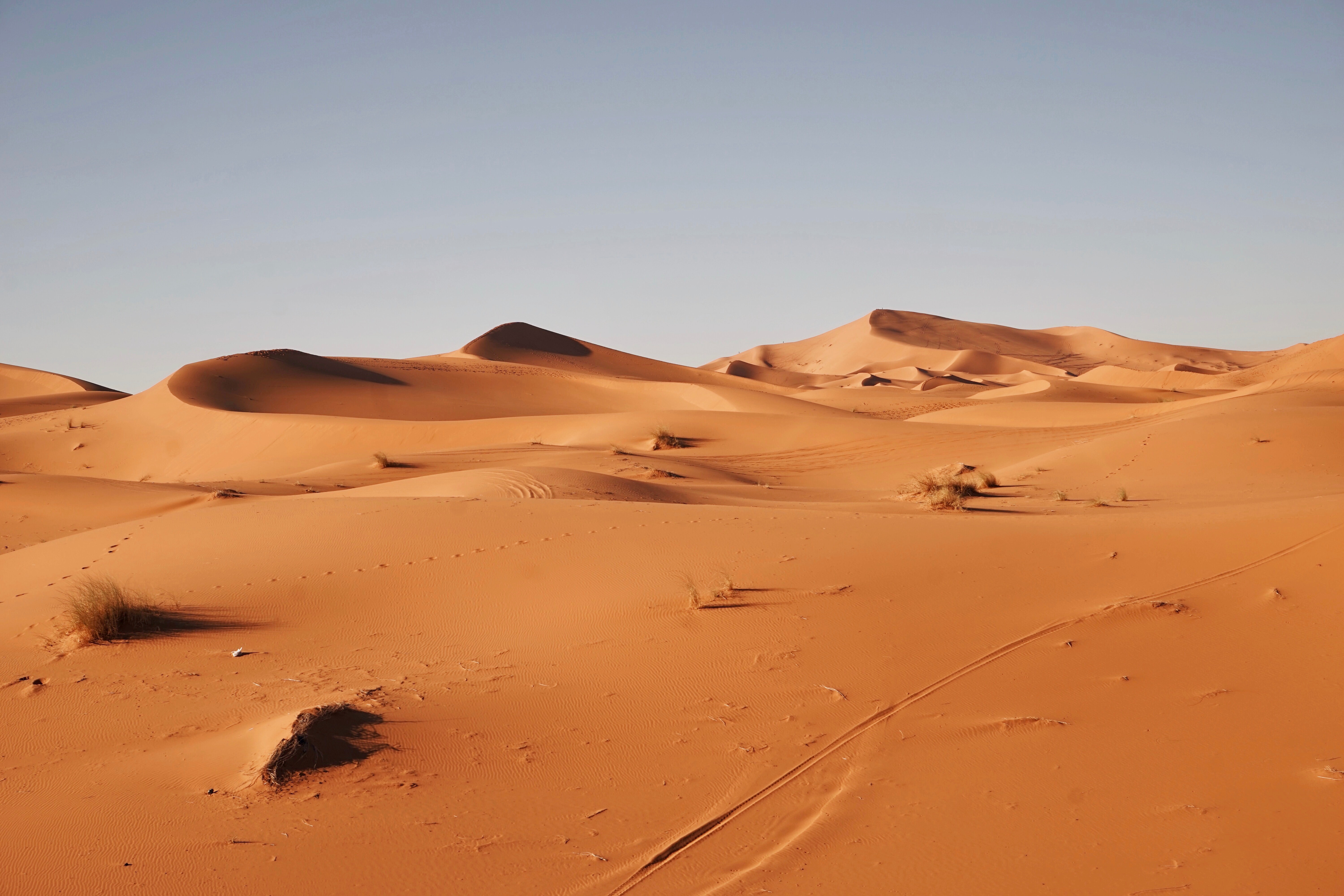 desert